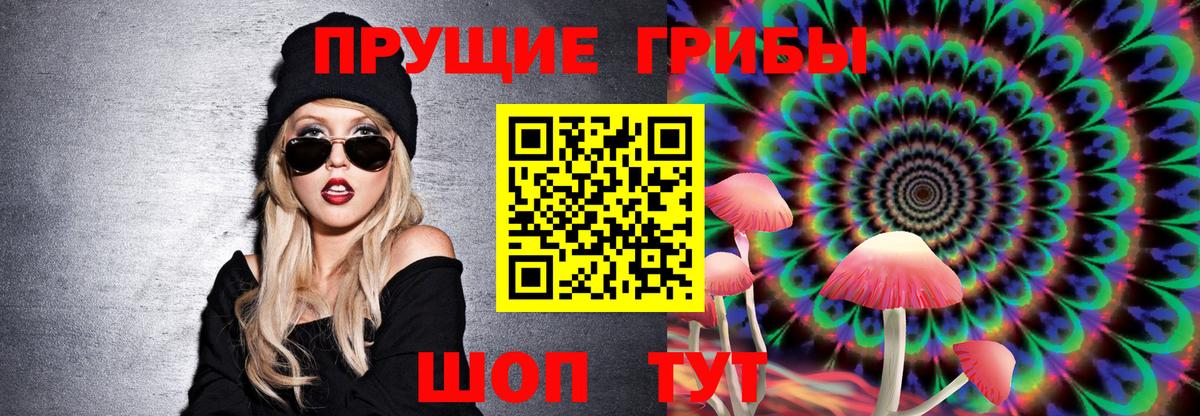Псилоцибиновые грибы прущие грибы Альметьевск
